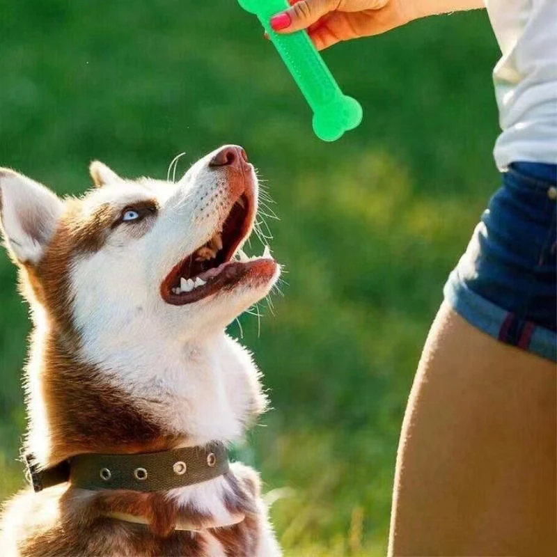 Teeth Cleaning Dog Chew Bone - Super Tough Dog Bone Chew ของเล่น