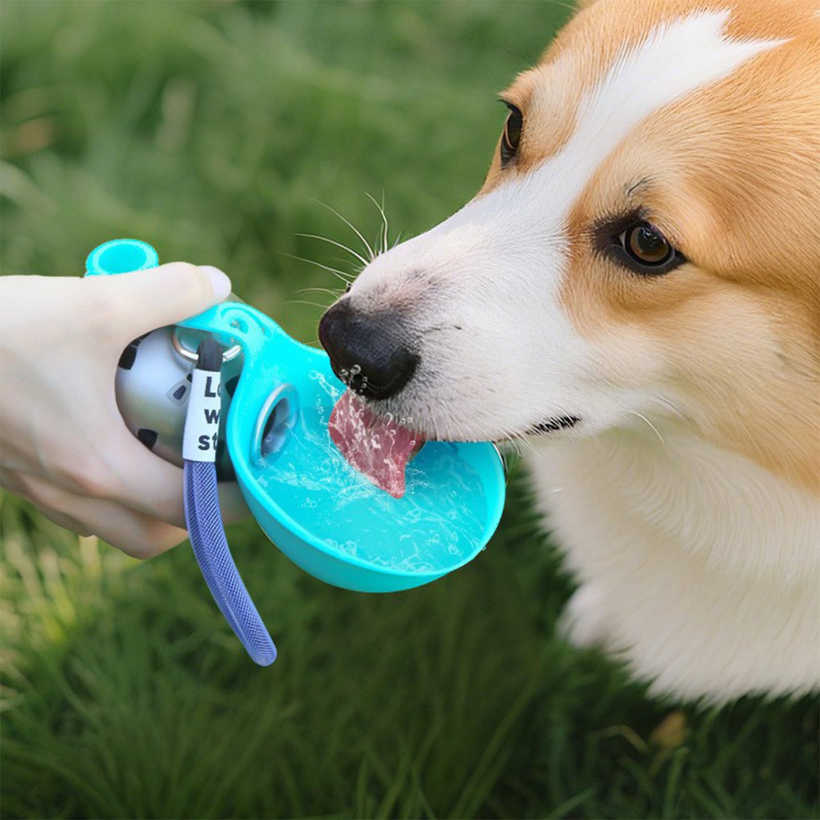 Pet Feeders - ภาชนะใส่น้ำพกพาสำหรับสัตว์เลี้ยงแบบซิลิโคน ACG รูปทรงกลม พับได้ ใช้กลางแจ้ง สำหรับแมวและสุนัข
