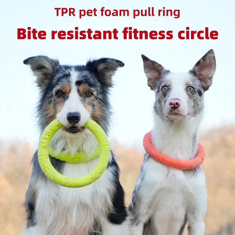 Flying Disc Dog Training Toy - ของเล่นฝึกสุนัขอเนกประสงค์ ทนทานต่อการกัดแทะ ทำจากวัสดุ EVA กันน้ำ ลอยน้ำได้