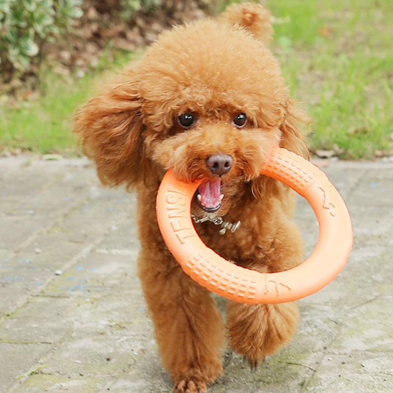 1ชิ้นของเล่นสุนัขสีส้มแหวนฝึกส - Interactive Squeaky Plush Dog Toy บทวิจารณ์และราคา