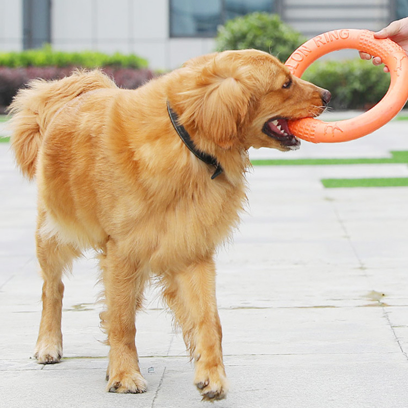 1ชิ้นของเล่นสุนัขสีส้มแหวนฝึกส - Interactive Squeaky Plush Dog Toy บทวิจารณ์และราคา