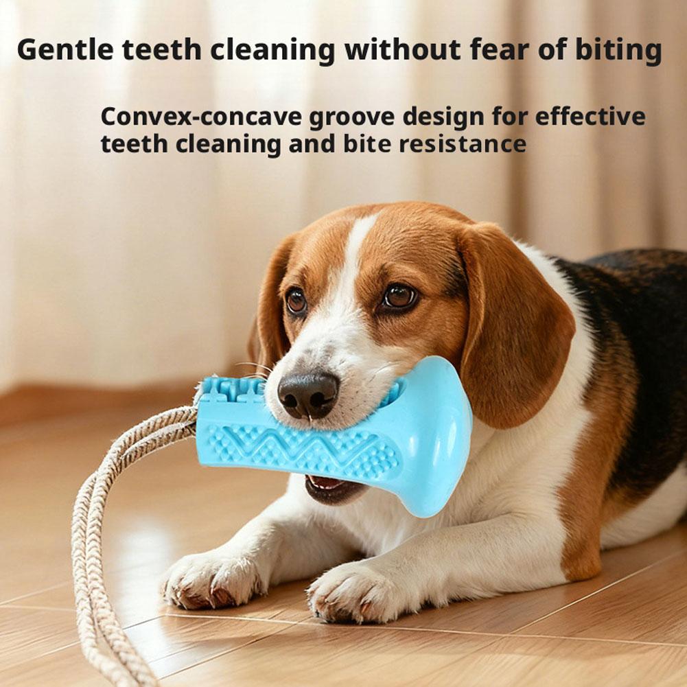 ของเล่นสุนัขแบบถ้วยดูด ของเล่น - Suction Cup Dog Tug Toy บทวิจารณ์และราคา