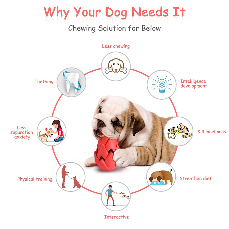BenepawทำลายPitayaสุนัขChewของ - Indestructible Dog Chew Toy บทวิจารณ์และราคา