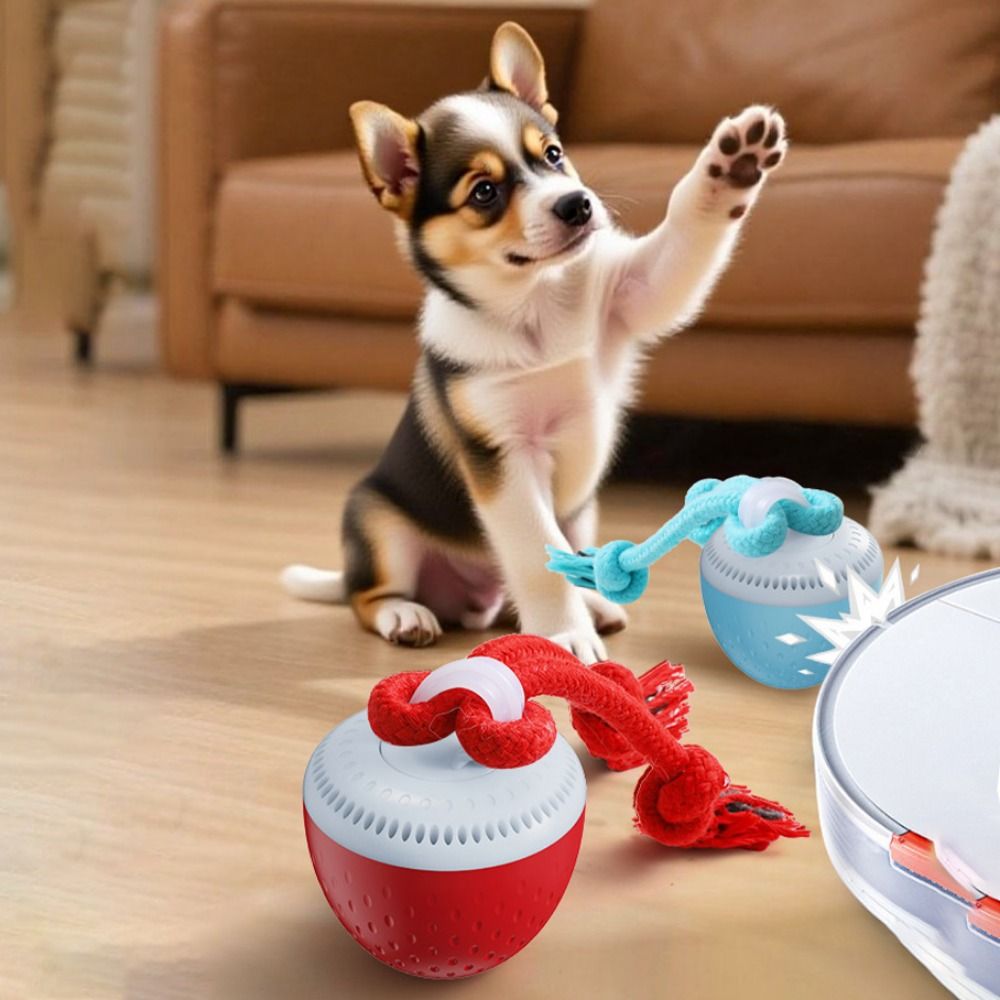 ลูกบอลของเล่นสัตว์เลี้ยงอัจฉริ - Automatic Moving Dog Ball บทวิจารณ์และราคา