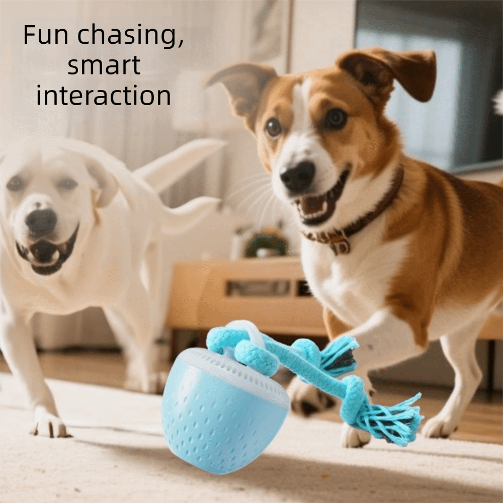ลูกบอลของเล่นสัตว์เลี้ยงอัจฉริ - Automatic Moving Dog Ball บทวิจารณ์และราคา
