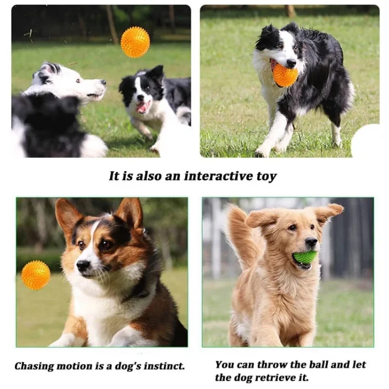 ของเล่นลูกบอลหนาม TPR สำหรับสั - Interactive Squeaky Plush Dog Toy บทวิจารณ์และราคา