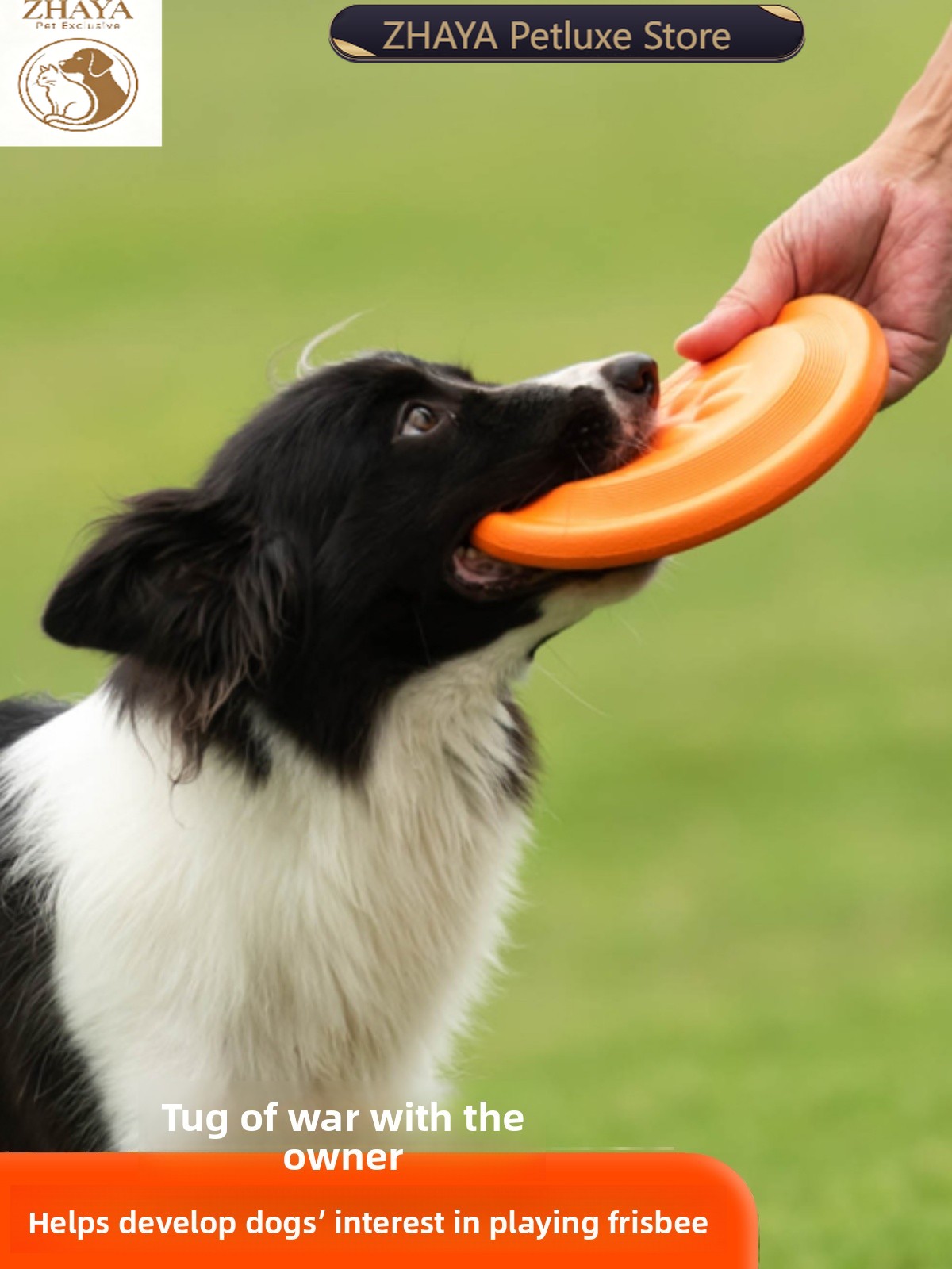 จานร่อนสำหรับสุนัข ของเล่นนุ่ม - Flying Disc Dog Training Toy บทวิจารณ์และราคา