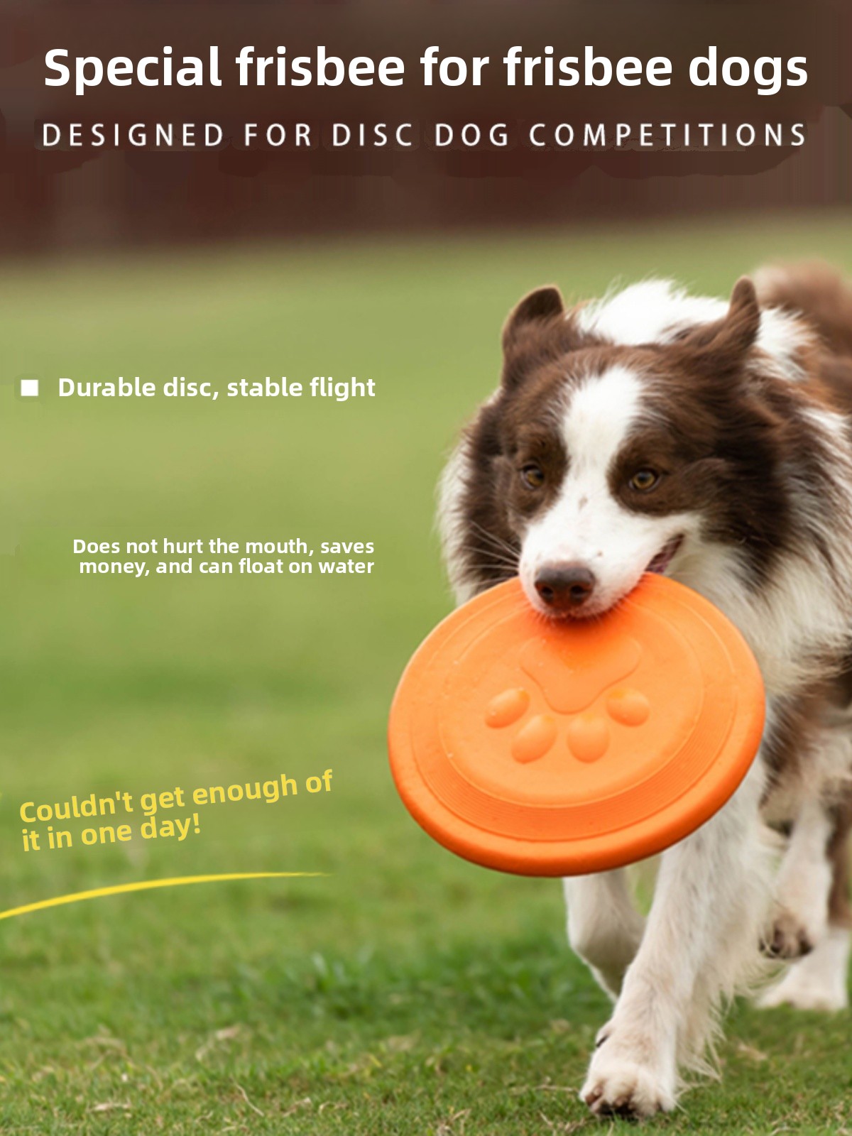 จานร่อนสำหรับสุนัข ของเล่นนุ่ม - Flying Disc Dog Training Toy บทวิจารณ์และราคา