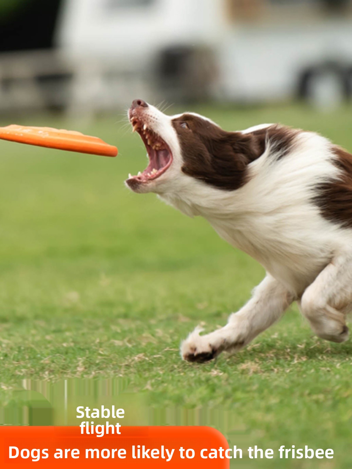 จานร่อนสำหรับสุนัข ของเล่นนุ่ม - Flying Disc Dog Training Toy บทวิจารณ์และราคา