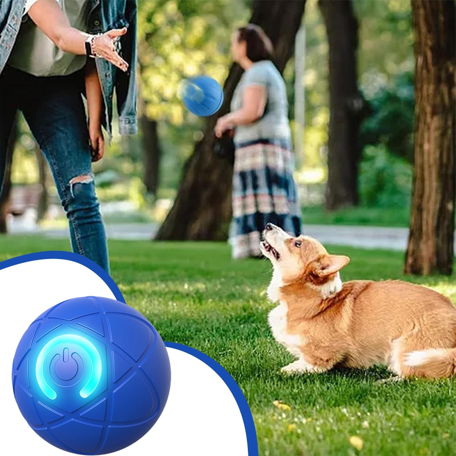 ของเล่นสุนัขอัจฉริยะแบบโต้ตอบไ - Automatic Moving Dog Ball บทวิจารณ์และราคา