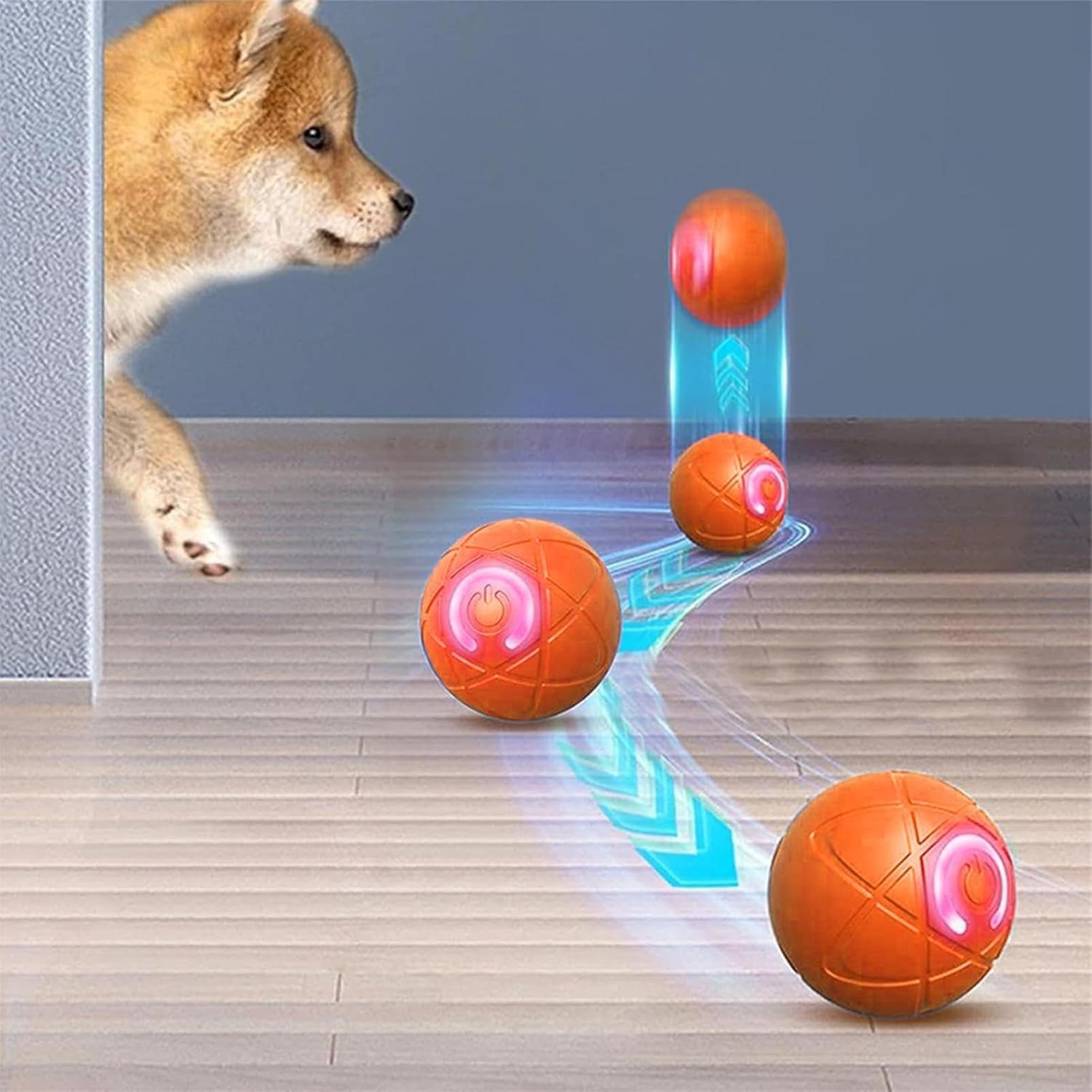 ของเล่นสุนัขอัจฉริยะแบบโต้ตอบไ - Automatic Moving Dog Ball บทวิจารณ์และราคา