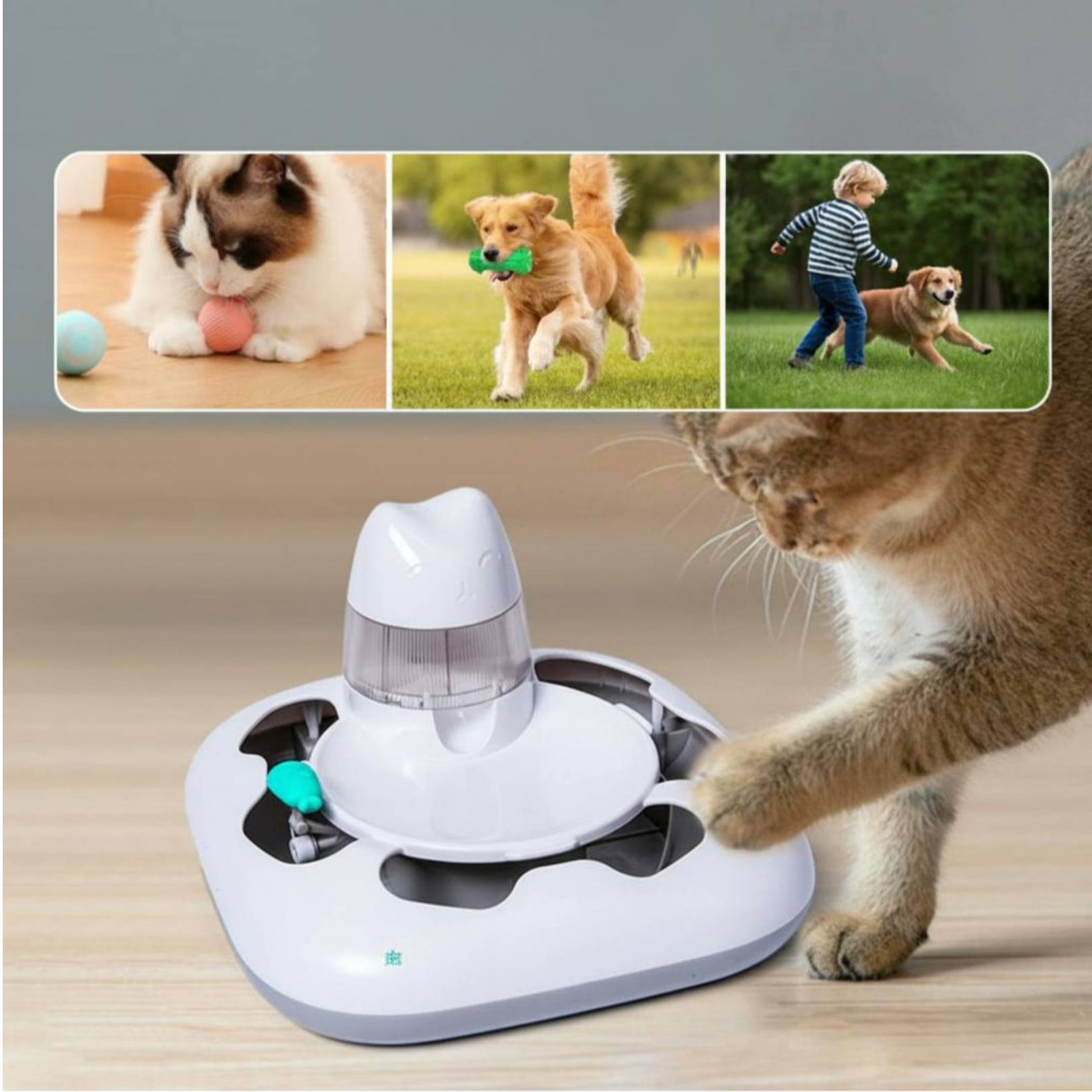 เครื่องเล่นเกมล่าสัตว์สำหรับแม - Cat Toys บทวิจารณ์และราคา