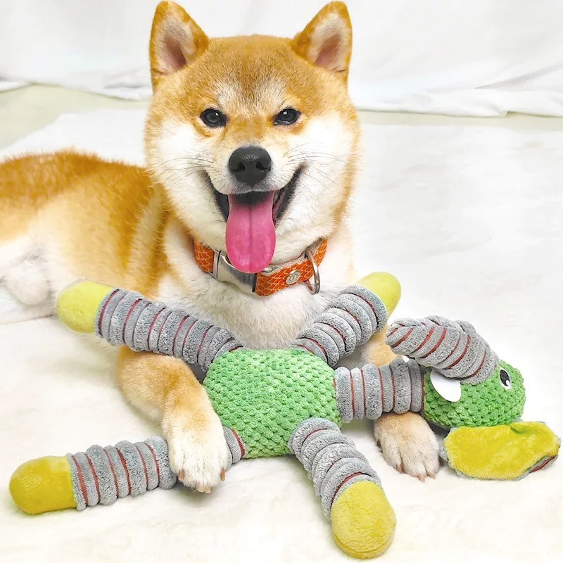 ของเล่นฝึกกัดสำหรับสัตว์เลี้ยง - Indestructible Dog Chew Toy บทวิจารณ์และราคา