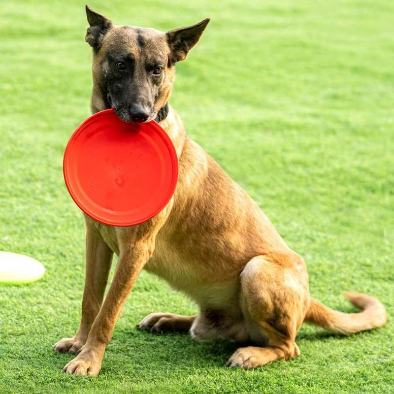 จานร่อนสุนัขพลาสติกแข็ง ลายอุ้ - Flying Disc Dog Training Toy บทวิจารณ์และราคา