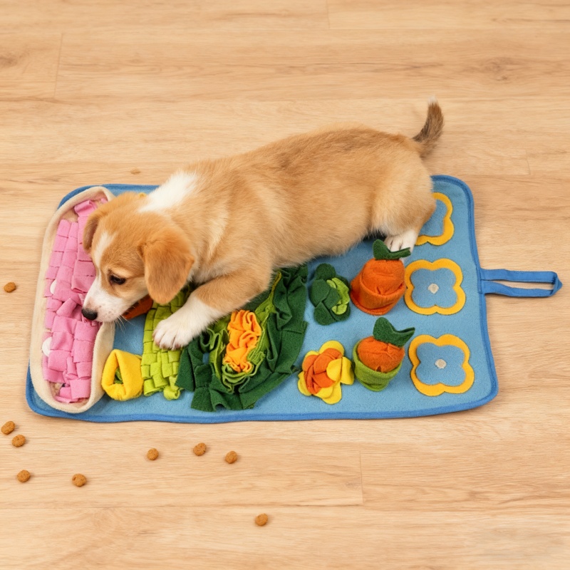 แผ่นรองดมกลิ่นสำหรับสุนัข ของเ - Snuffle Mat For Dogs บทวิจารณ์และราคา