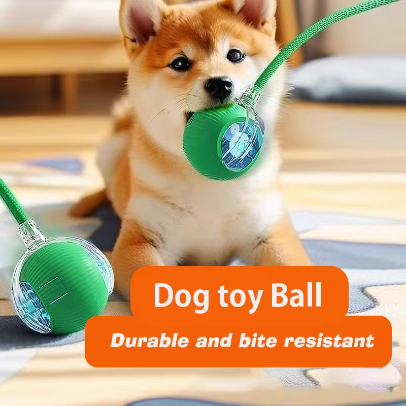 ของเล่นลูกบอลแบบโต้ตอบสำหรับสุ - Automatic Moving Dog Ball บทวิจารณ์และราคา