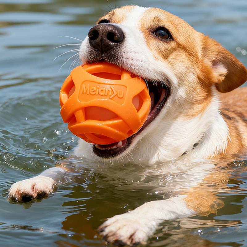 ลูกบอลเคี้ยวสำหรับสุนัขที่ทนทา - Indestructible Dog Chew Toy บทวิจารณ์และราคา