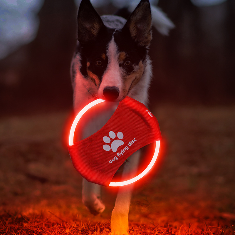จานร่อนสุนัขแบบมีไฟ LED, ของเล - Flying Disc Dog Training Toy บทวิจารณ์และราคา