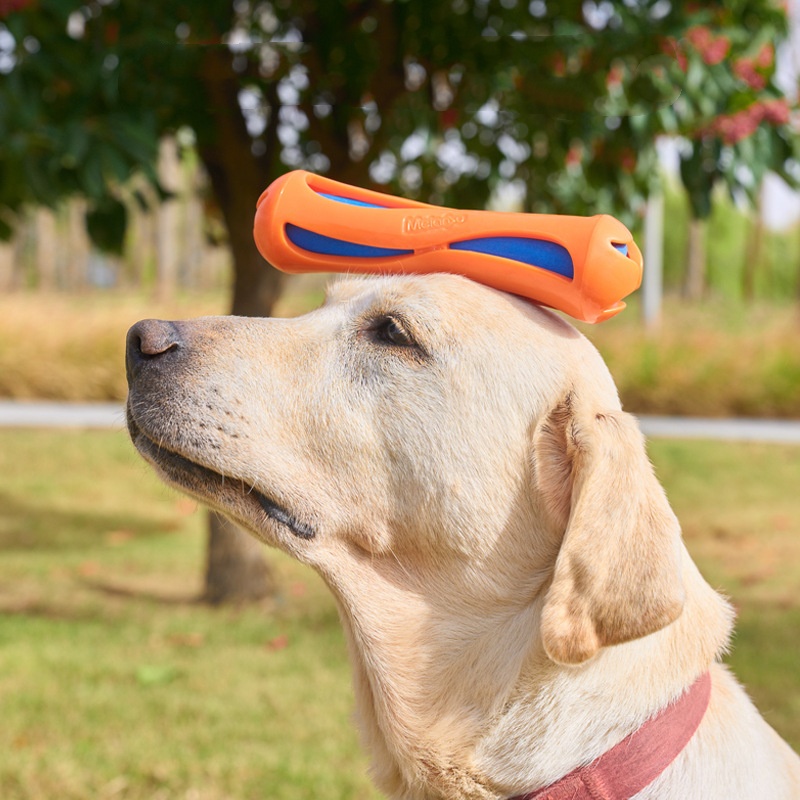 ของเล่นสุนัขแบบลอยน้ำ ทนทาน ไม - Indestructible Dog Chew Toy บทวิจารณ์และราคา