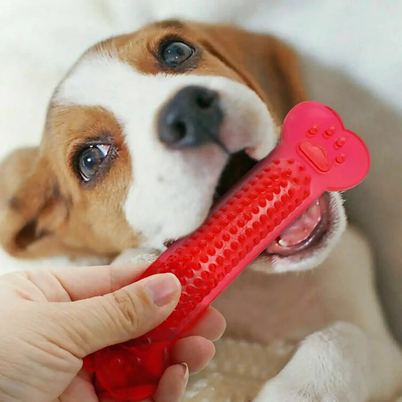 Super Tough Dog Bone Chew ของเ - Teeth Cleaning Dog Chew Bone บทวิจารณ์และราคา