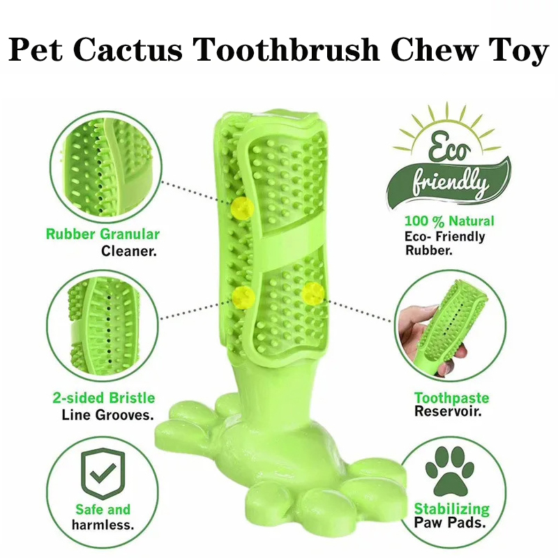 สัตว์เลี้ยงสุนัขแคคตัสยางแบบโต - Rubber Treat Dispensing Dog Toy บทวิจารณ์และราคา