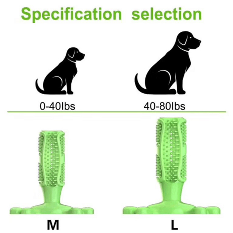 สัตว์เลี้ยงสุนัขแคคตัสยางแบบโต - Rubber Treat Dispensing Dog Toy บทวิจารณ์และราคา