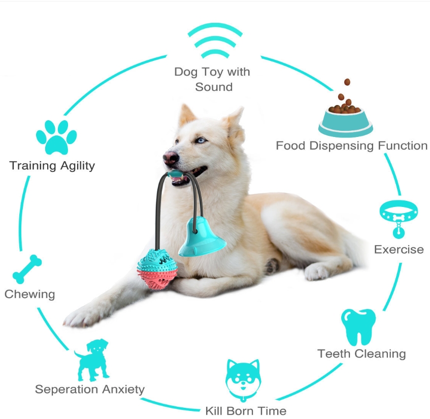 ของเล่นสำหรับสุนัขที่ชอบกัดแทะ - Rubber Treat Dispensing Dog Toy บทวิจารณ์และราคา
