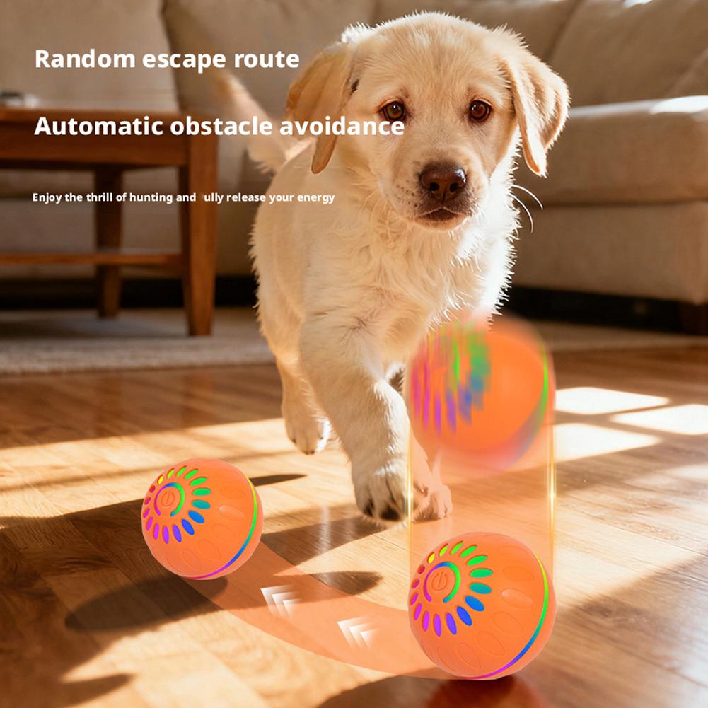 ลูกบอลของเล่นสุนัขอัจฉริยะ แบบ - Automatic Moving Dog Ball บทวิจารณ์และราคา