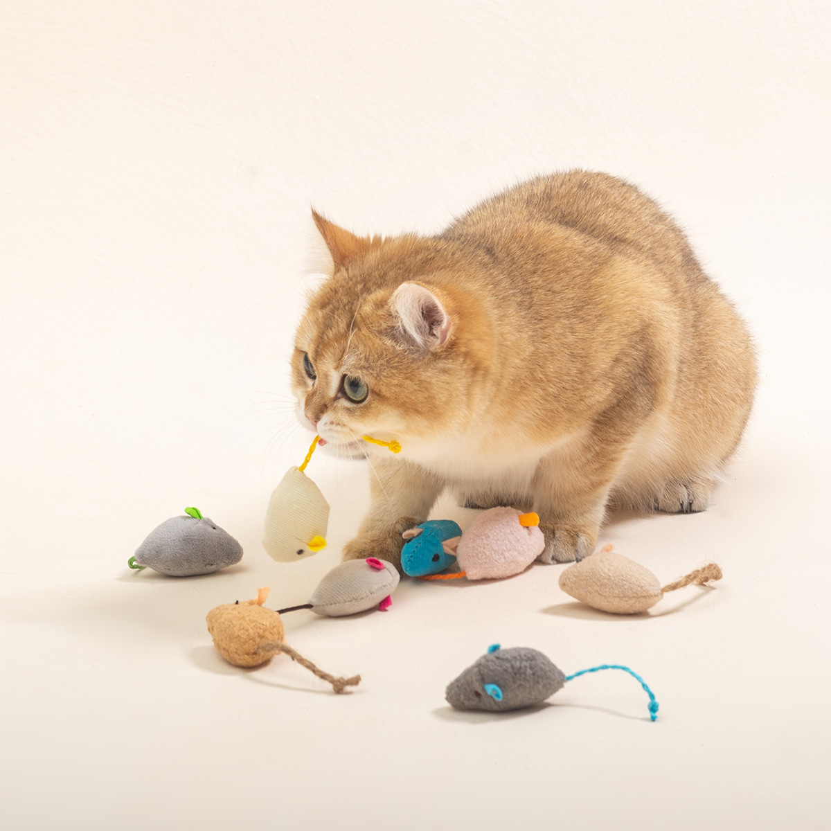 ของเล่นแมวแบบอินเทอร์แอคทีฟ 16 - Catnip Interactive Plush Mouse บทวิจารณ์และราคา