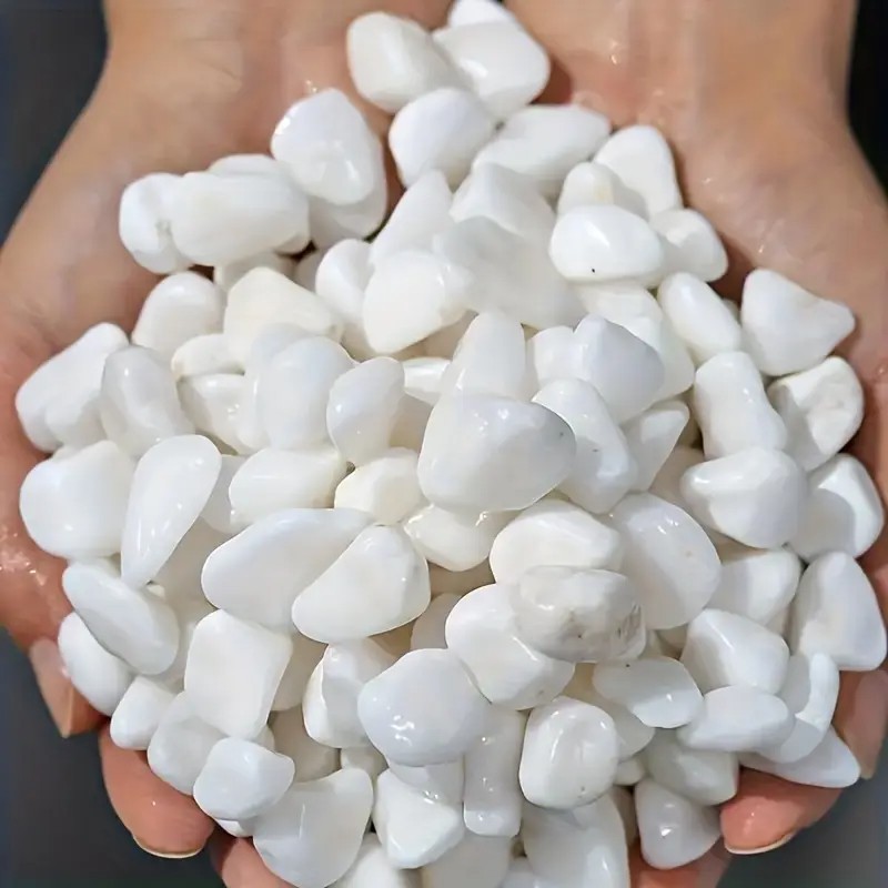 1L คุณภาพสูง perlite succulent - Pet Beds บทวิจารณ์และราคา