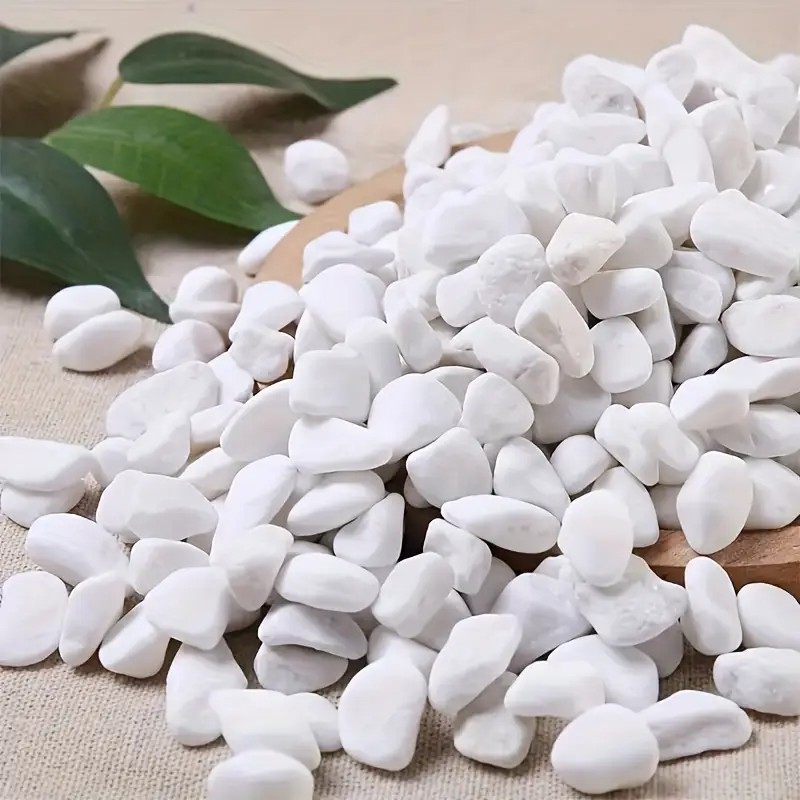 1L คุณภาพสูง perlite succulent - Pet Beds บทวิจารณ์และราคา