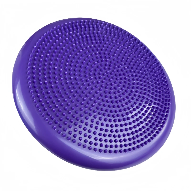 จานรองสำหรับฝึกสุนัขช่วยปรับสม - Flying Disc Dog Training Toy บทวิจารณ์และราคา