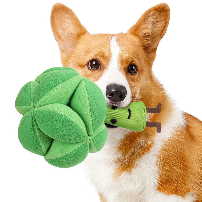 ของเล่นฝึกสมองสุนัขรูปบรอกโคลี - Dog Puzzle Feeder Toy บทวิจารณ์และราคา