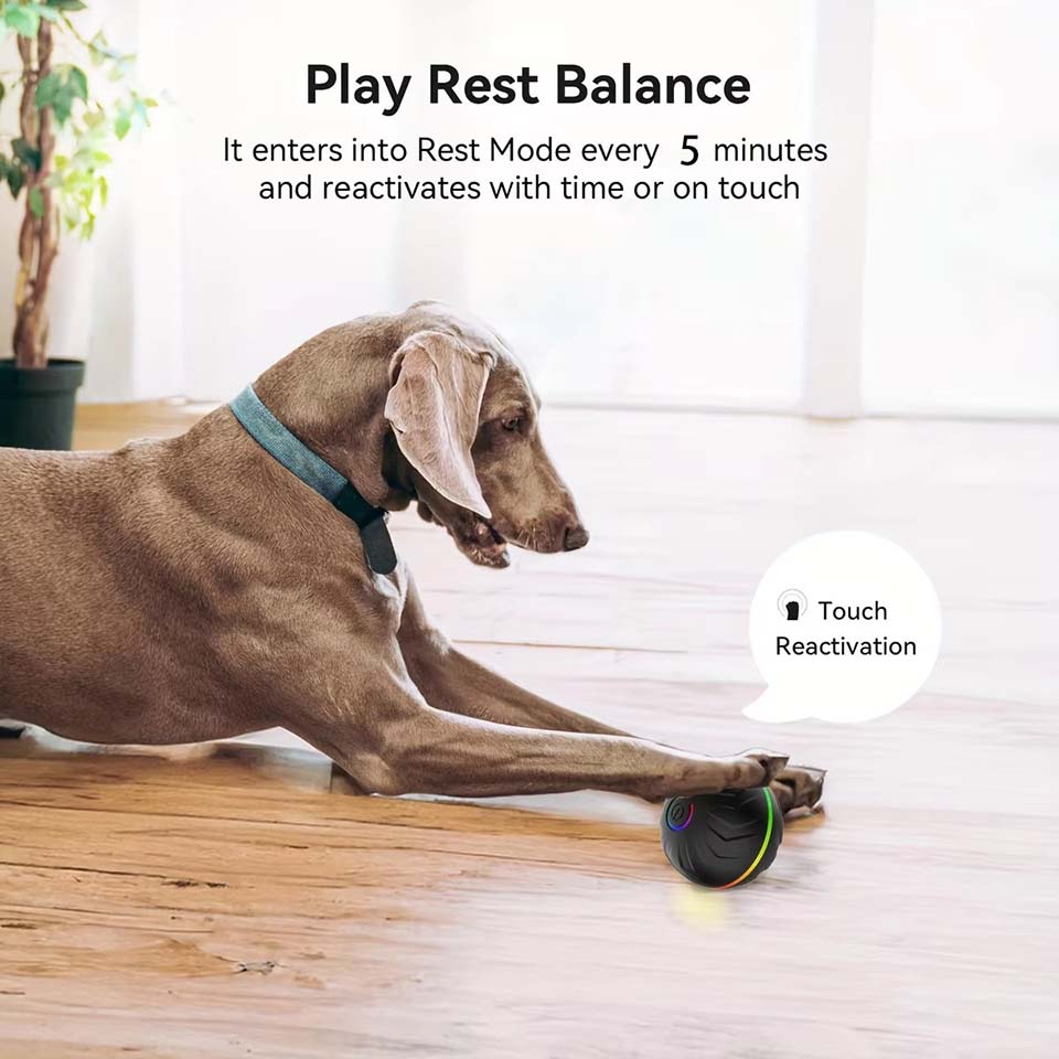 ของเล่นสุนัขอัจฉริยะแบบอินเทอร - Automatic Moving Dog Ball บทวิจารณ์และราคา