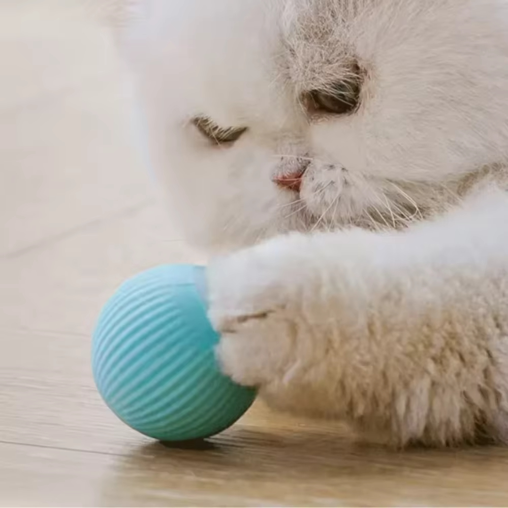 ลูกบอลเคลื่อนที่อัตโนมัติสำหรั - Automatic Moving Dog Ball บทวิจารณ์และราคา
