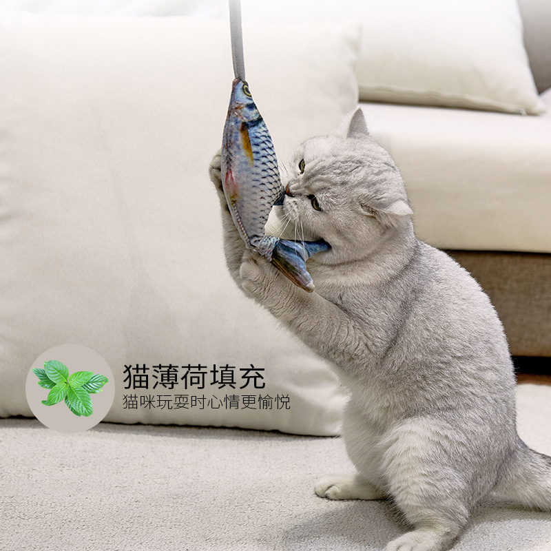 ของเล่นปลาไฟฟ้าขยับได้ตลกๆ ของ - Electric Floppy Fish Dog Toy บทวิจารณ์และราคา