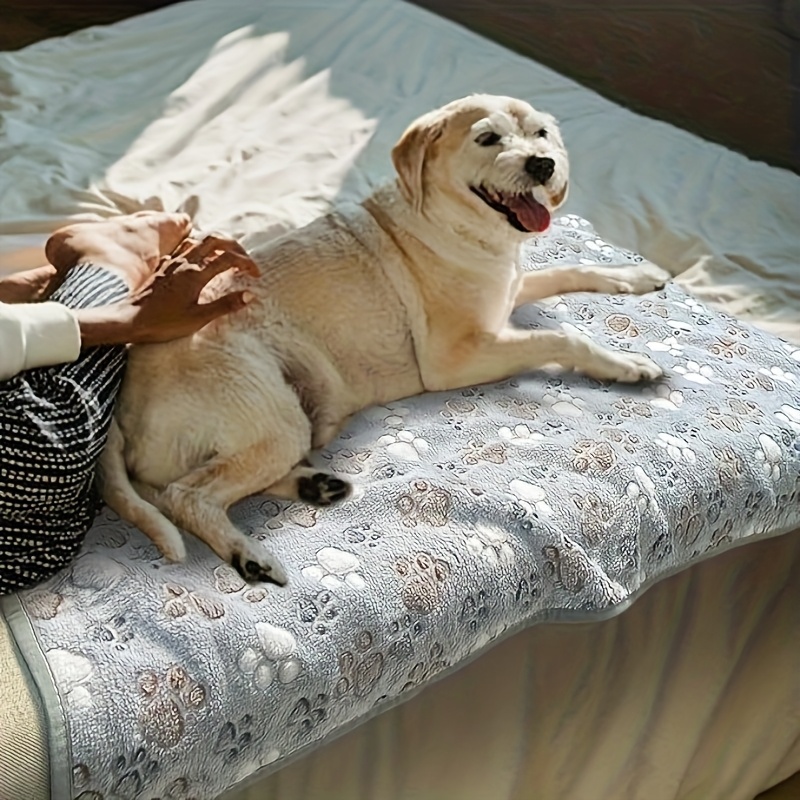 ผ้าขนหนูสำหรับสัตว์เลี้ยงที่นุ - Pet Beds บทวิจารณ์และราคา