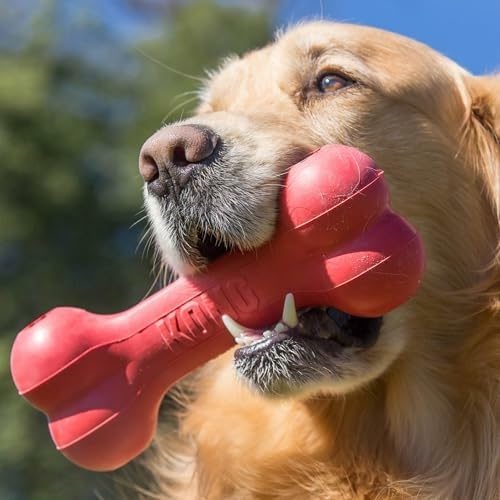 กระดูกยางธรรมชาติสำหรับสุนัข ท - Rubber Treat Dispensing Dog Toy บทวิจารณ์และราคา