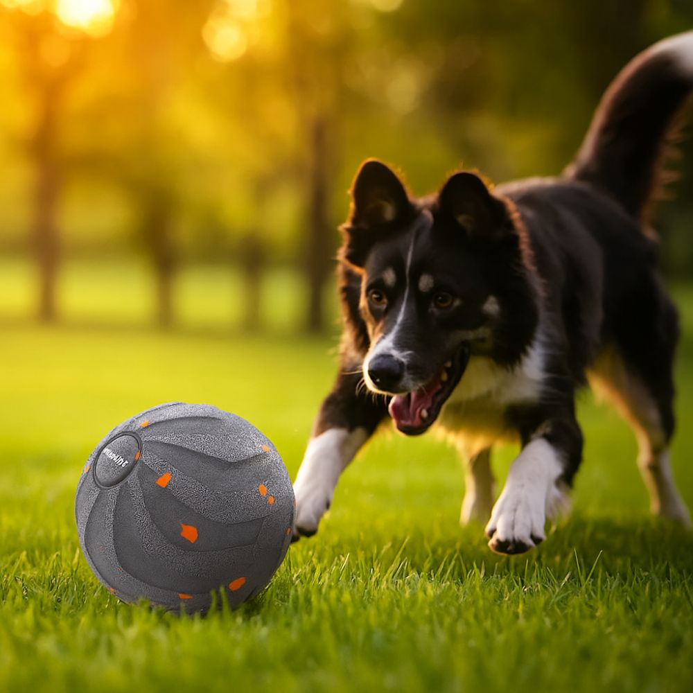 ลูกบอลของเล่นสุนัขอัจฉริยะ ทนท - Automatic Moving Dog Ball บทวิจารณ์และราคา