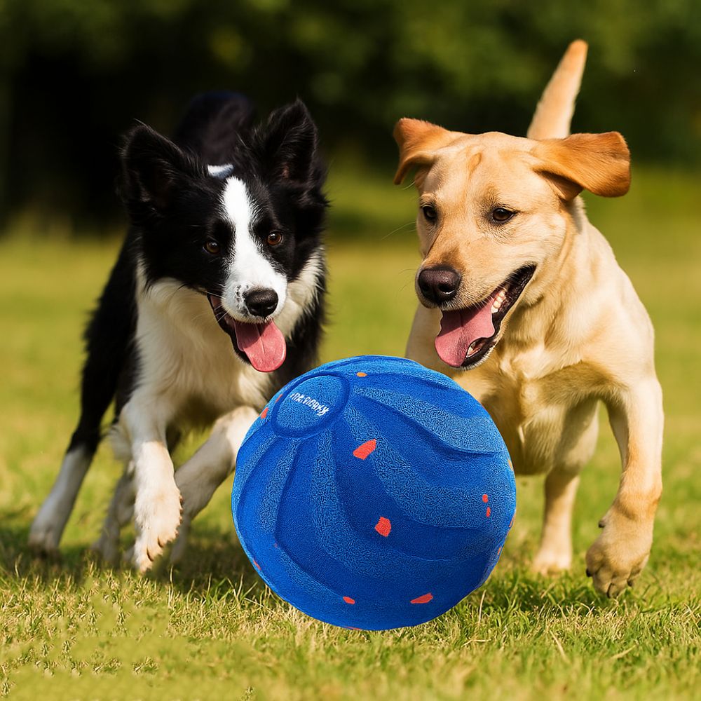 ลูกบอลของเล่นสุนัขอัจฉริยะ ทนท - Automatic Moving Dog Ball บทวิจารณ์และราคา