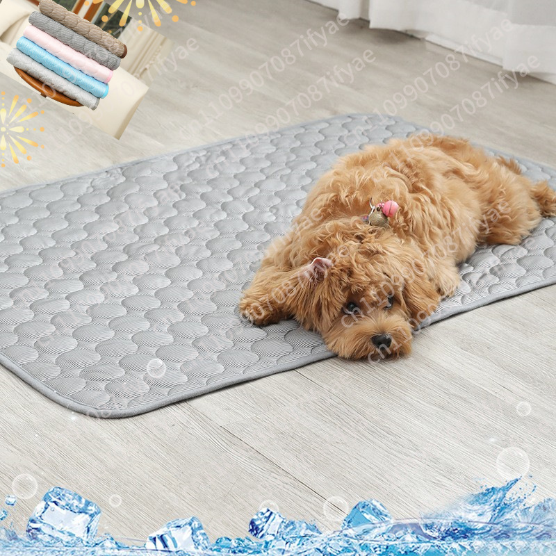 ที่นอนสัตว์เลี้ยงสำหรับฤดูร้อน - Pet Beds บทวิจารณ์และราคา