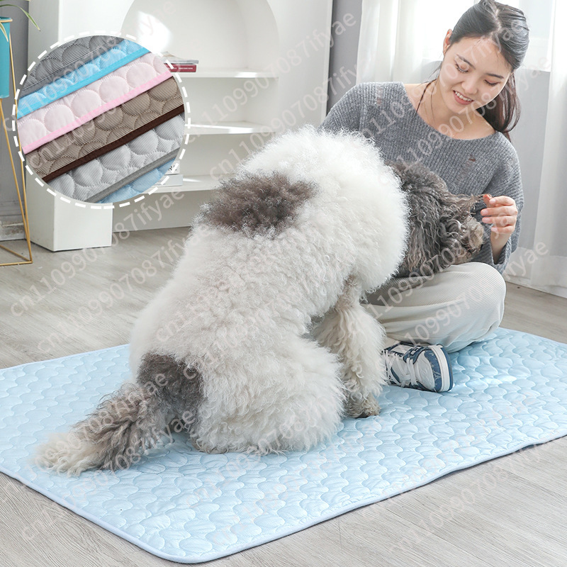 ที่นอนสัตว์เลี้ยงสำหรับฤดูร้อน - Pet Beds บทวิจารณ์และราคา