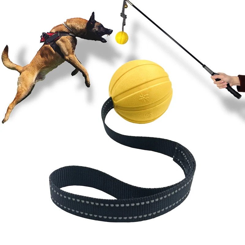 ลูกบอลของเล่นสุนัขทนทานบนเชือก - Dog Rope Toy Aggressive Chewers บทวิจารณ์และราคา