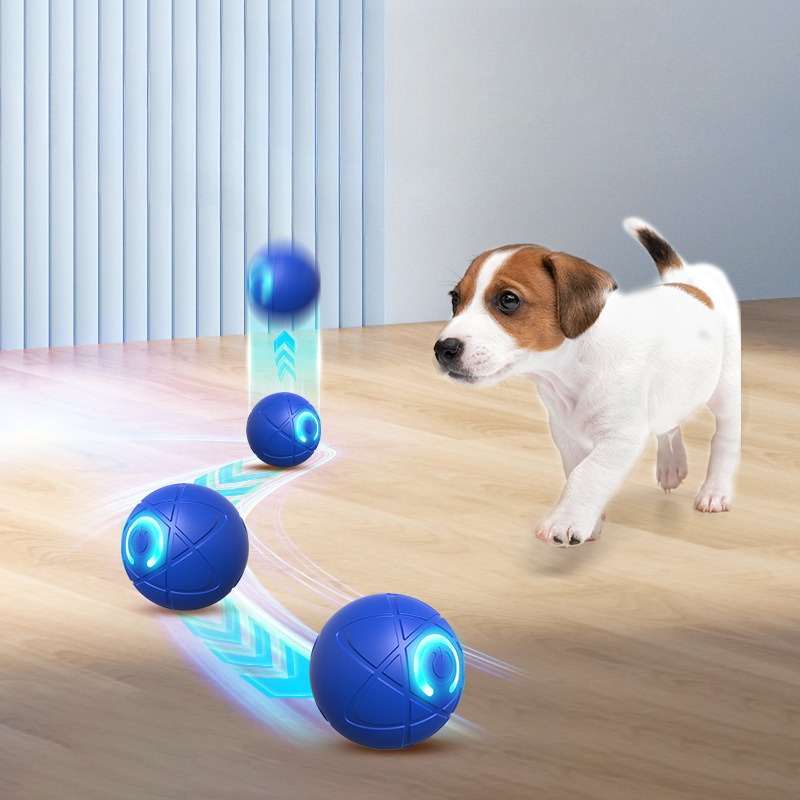 สมาร์ทของเล่นสุนัข Ball USB อั - Automatic Moving Dog Ball บทวิจารณ์และราคา