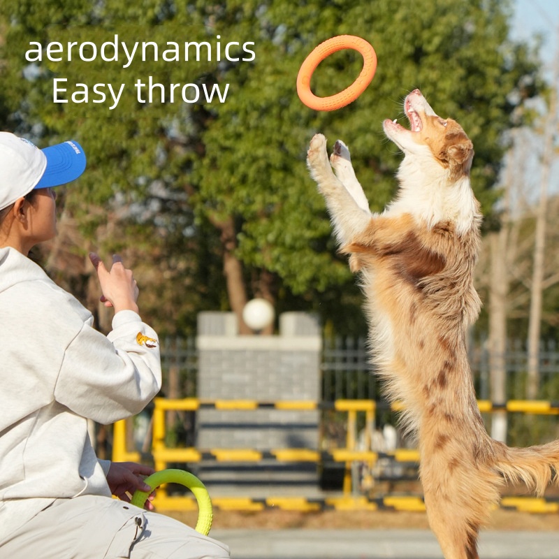 ของเล่นฝึกสุนัขอเนกประสงค์ ทนท - Flying Disc Dog Training Toy บทวิจารณ์และราคา