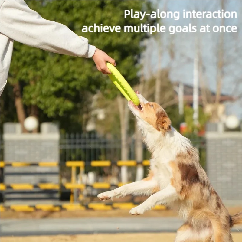 ของเล่นฝึกสุนัขอเนกประสงค์ ทนท - Flying Disc Dog Training Toy บทวิจารณ์และราคา