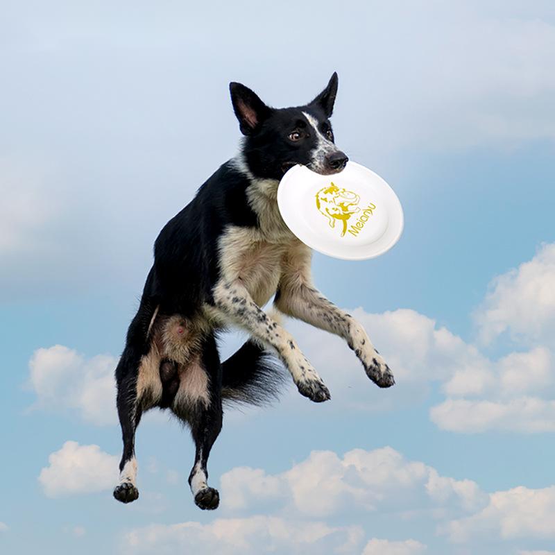 Ouzey ของเล่นแผ่นดิสก์สำหรับฝึ - Flying Disc Dog Training Toy บทวิจารณ์และราคา