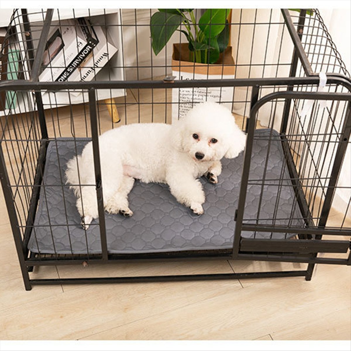 ผ้าห่มซับฉี่สุนัขแบบใช้ซ้ำได้  - Pet Beds บทวิจารณ์และราคา