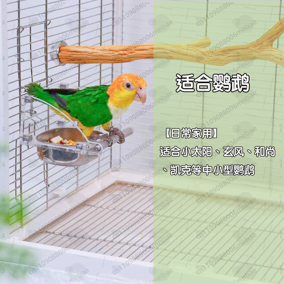 กล่องอาหารนกแก้ว สแตนเลส อะคริ - Pet Feeders บทวิจารณ์และราคา
