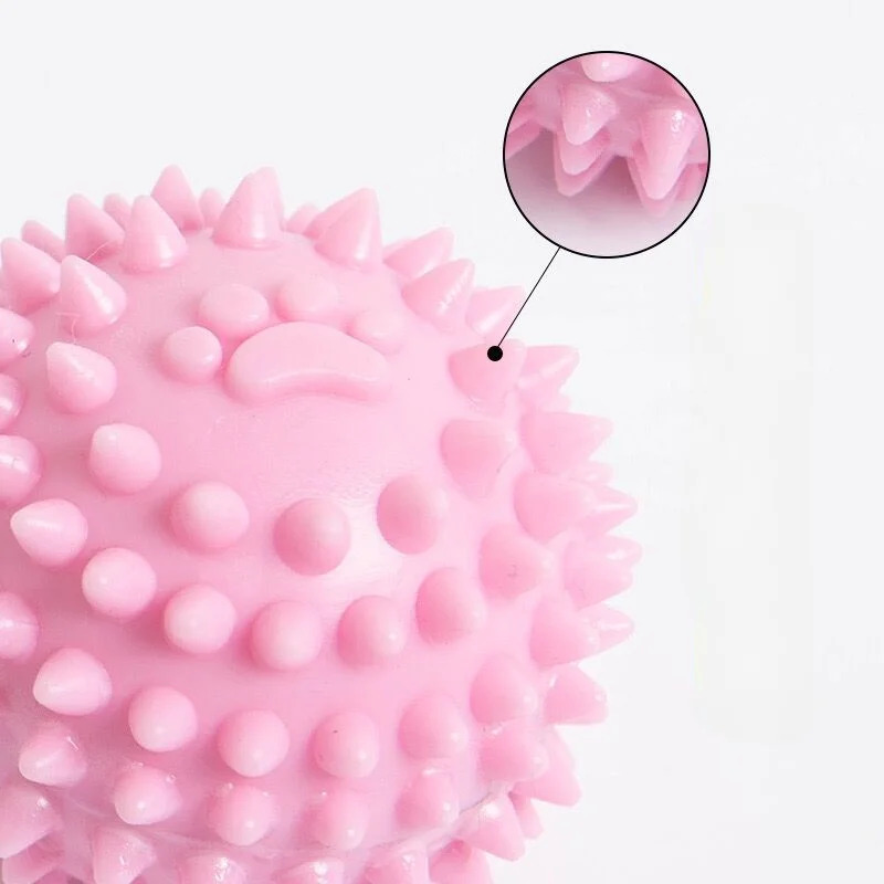ของเล่นยางทนทานสำหรับสุนัขที่ช - Teeth Cleaning Dog Chew Bone บทวิจารณ์และราคา